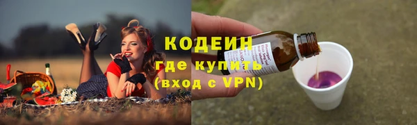 Альфа ПВП Ельня