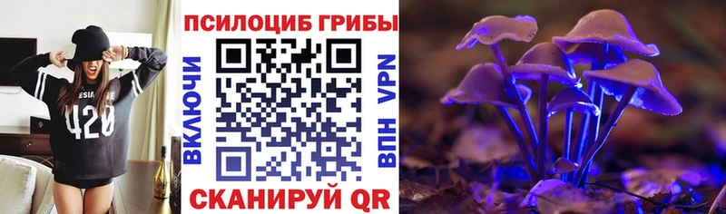 Купить где  Североуральск  Галлюциногенные грибы GOLDEN TEACHER 